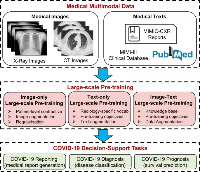 Figure 13: Medical multimodal large language model (Med-MLLM).