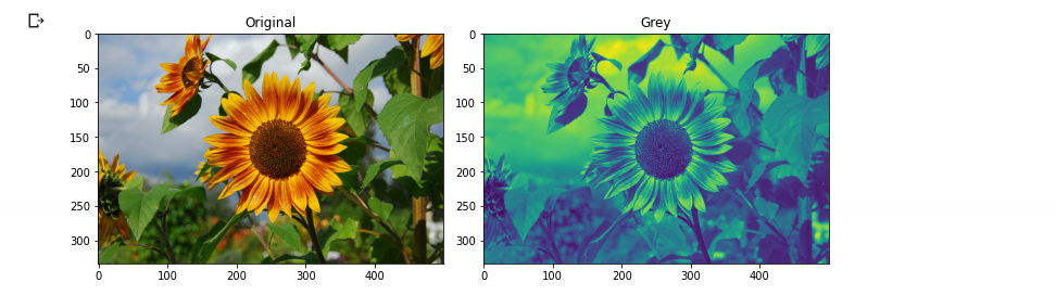 Figure 10: Grayscale conversion