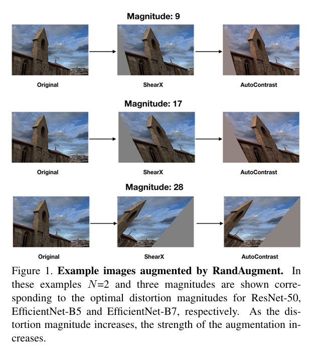 Figure 22: Examples of images augmented using the RandAugment technique.