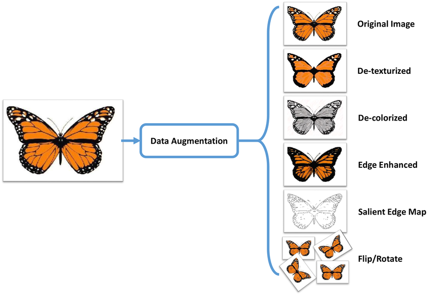 Figure 2: Data augmentation using semantic-preserving transformation.