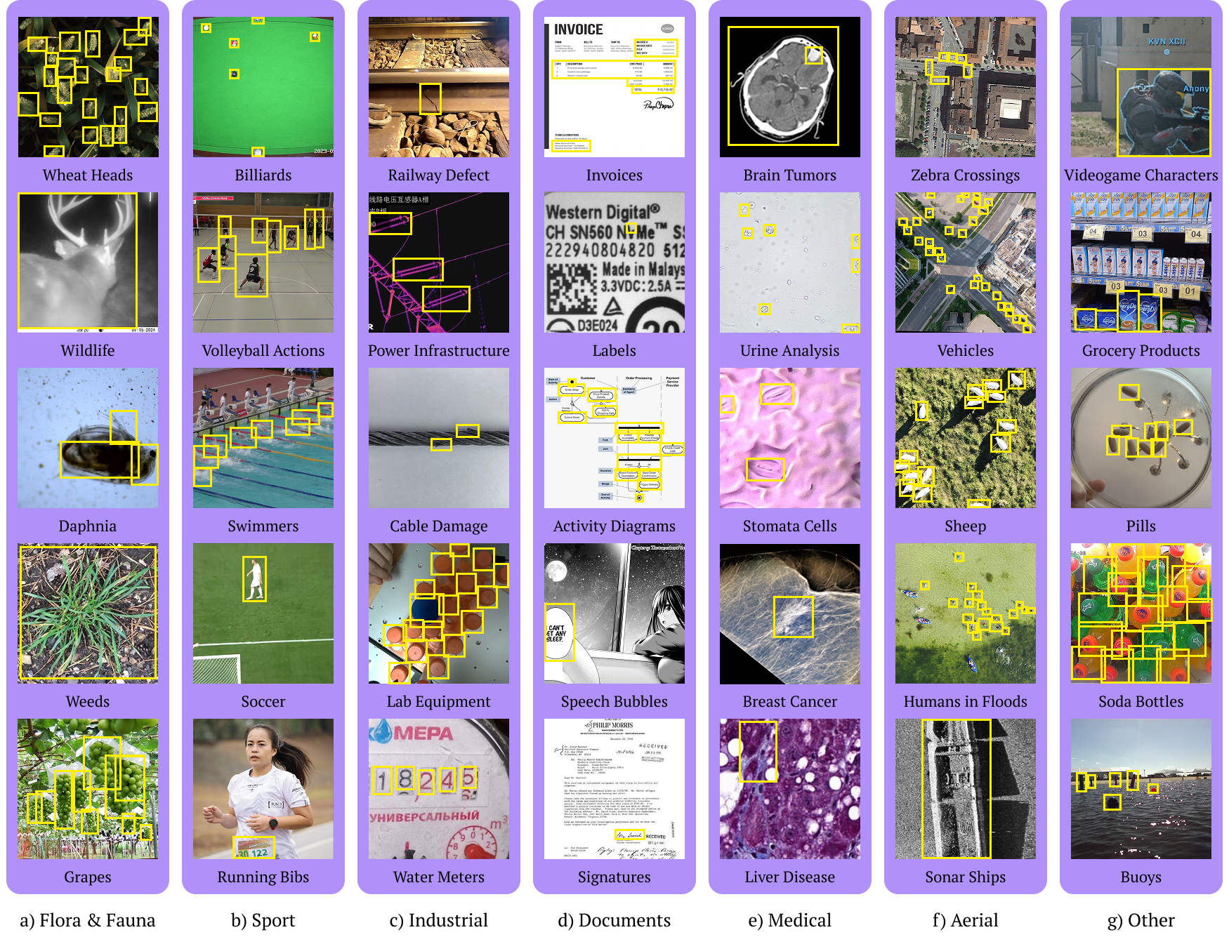 Figure 11: Roboflow100-VL Dataset.