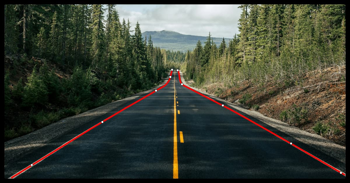 Figure 7: Example of polylines image annotation.