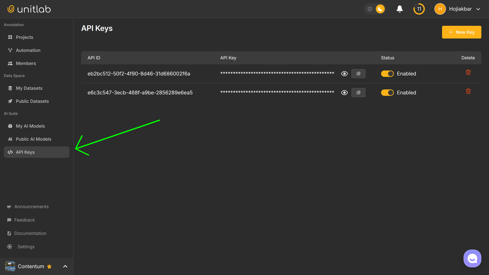 Get Your API Key | Unitlab AI