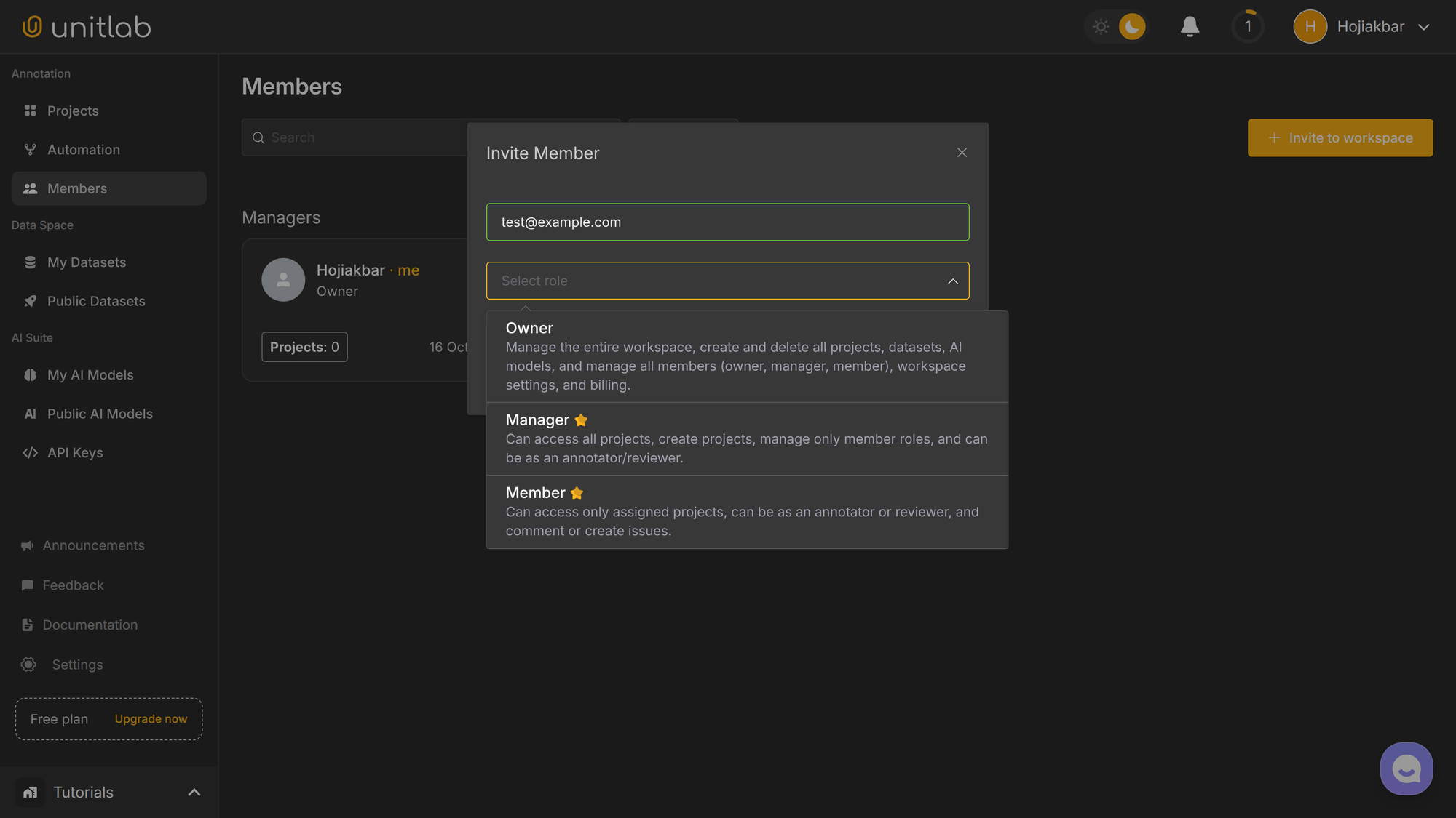Invite Members to Workspace | Unitlab AI