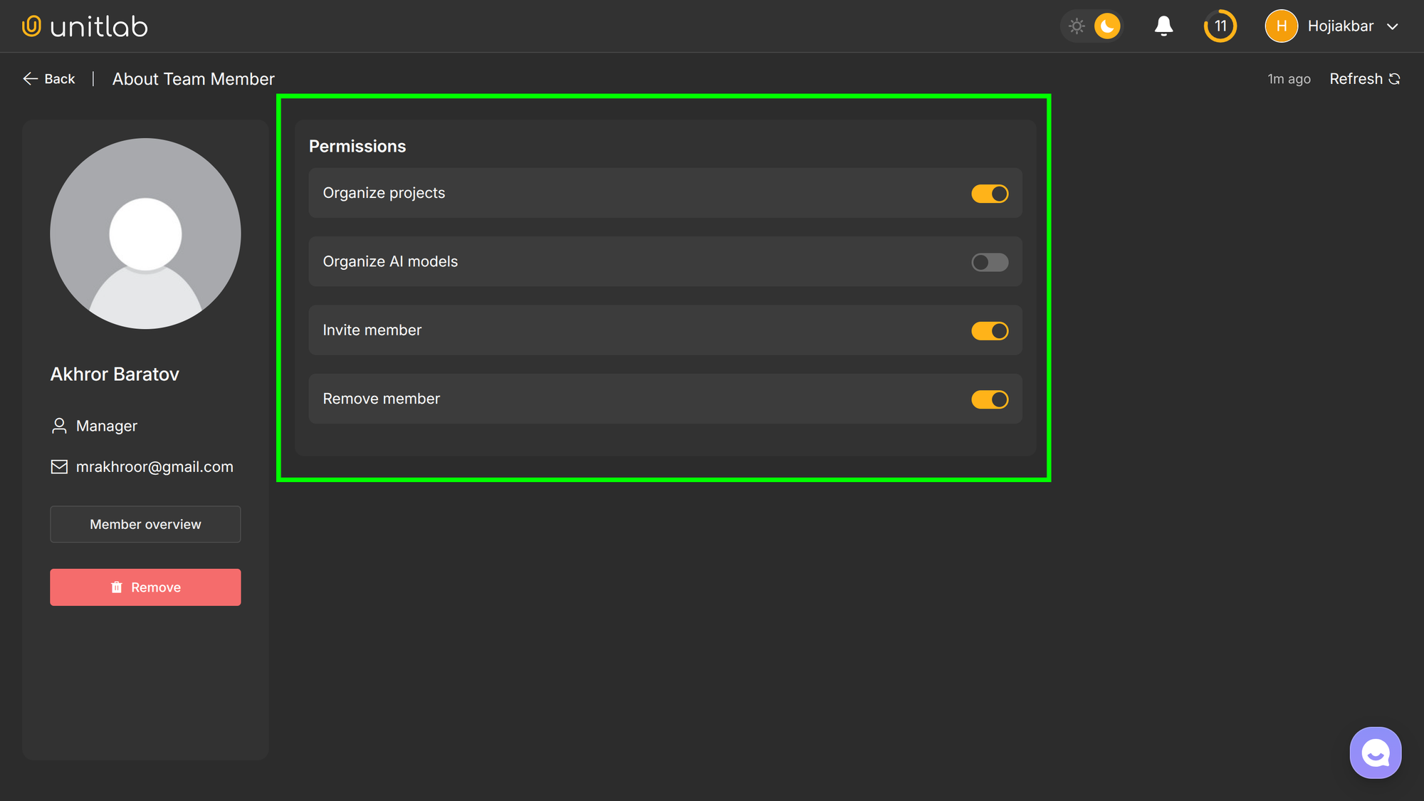 Managers Permissions | Unitlab AI