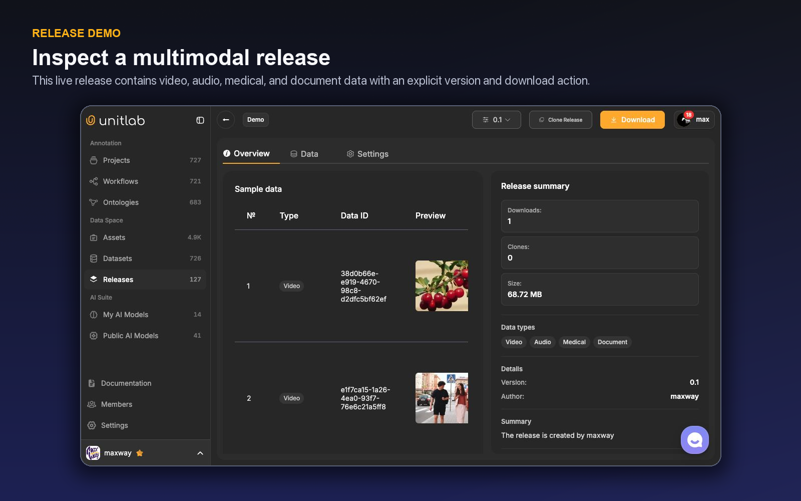 Unitlab release overview with version, sample rows, ground truth, metadata, clone, and download controls