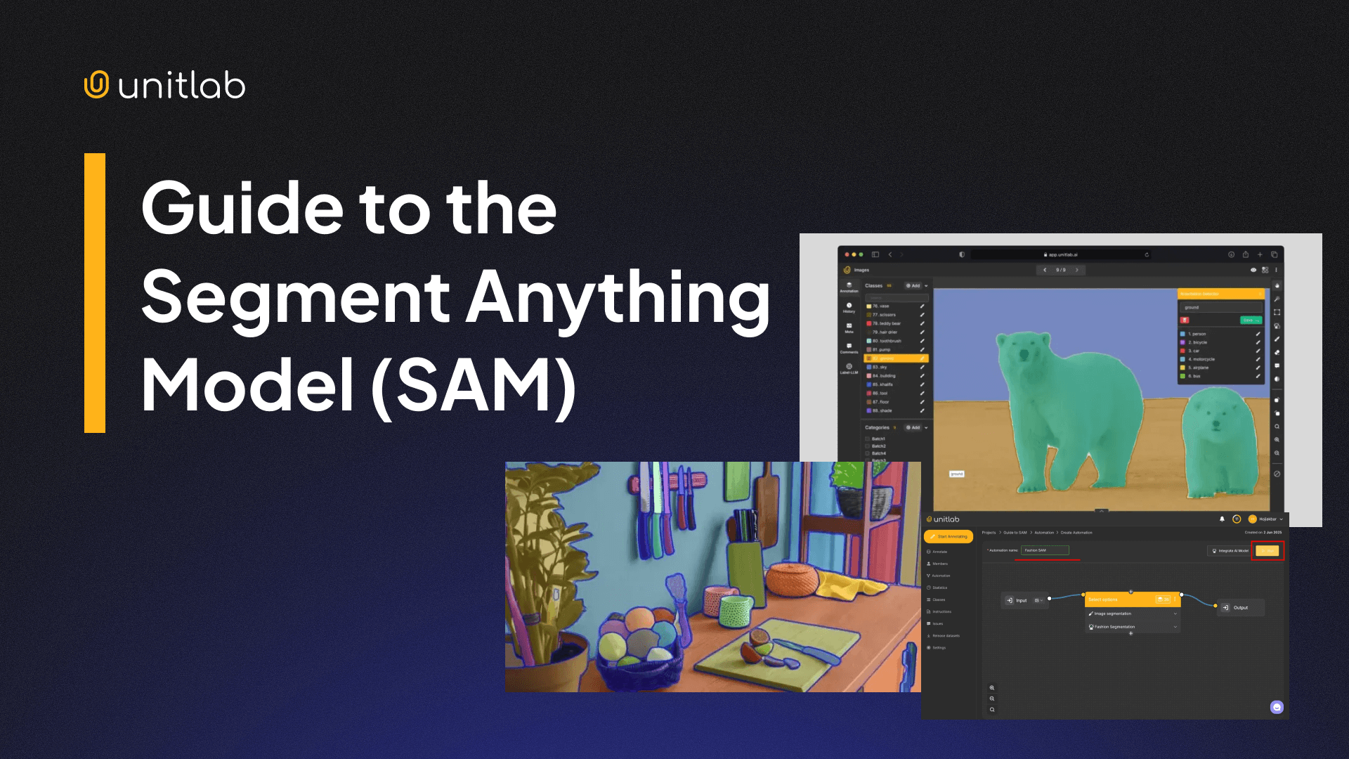 Guide to the Segment Anything Model (SAM) with a Demo Project
