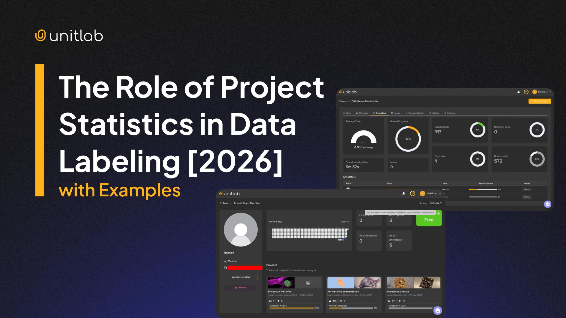 The Role of Project Statistics in Data Labeling [2026]