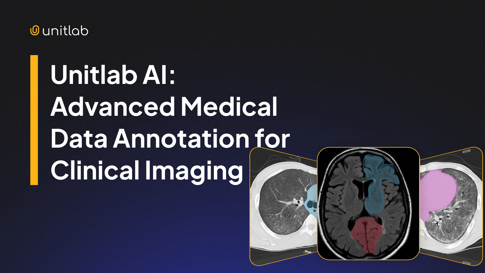 Unitlab AI: Advanced Medical Data Annotation for Clinical Imaging