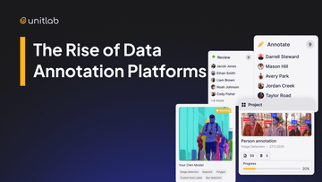 The Rise of Data Annotation Platforms