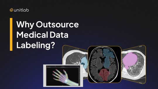 Featured illustration for “Why Outsource Medical Data Annotation?”