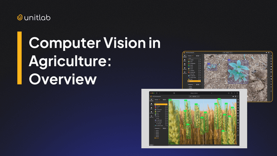 Featured illustration for “Computer Vision in Agriculture”