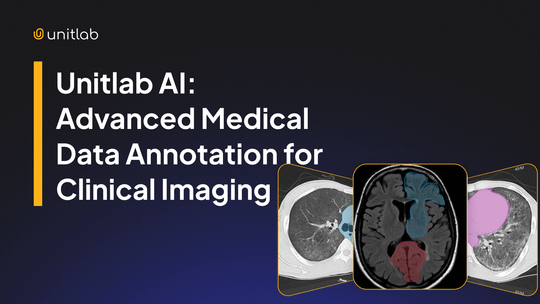 Featured illustration for “Unitlab AI: Advanced Medical Data Annotation for Clinical Imaging”
