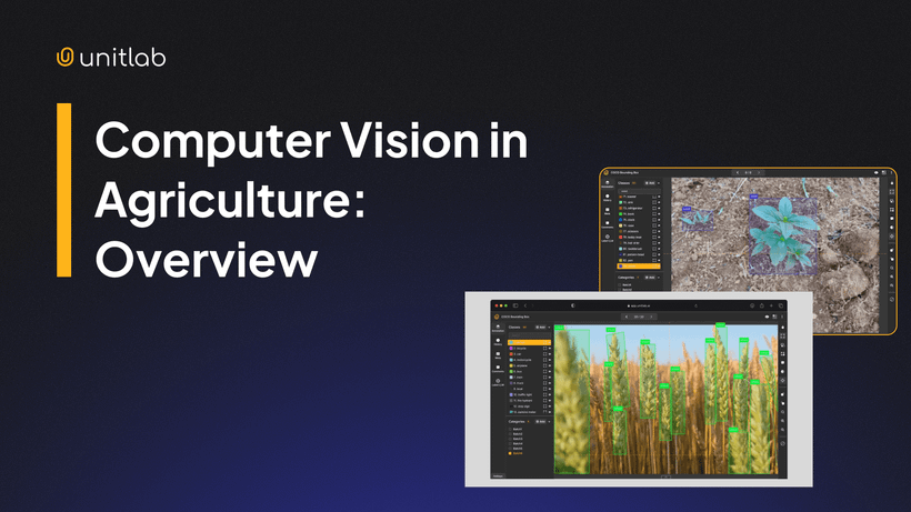 Featured illustration for “Computer Vision in Agriculture”