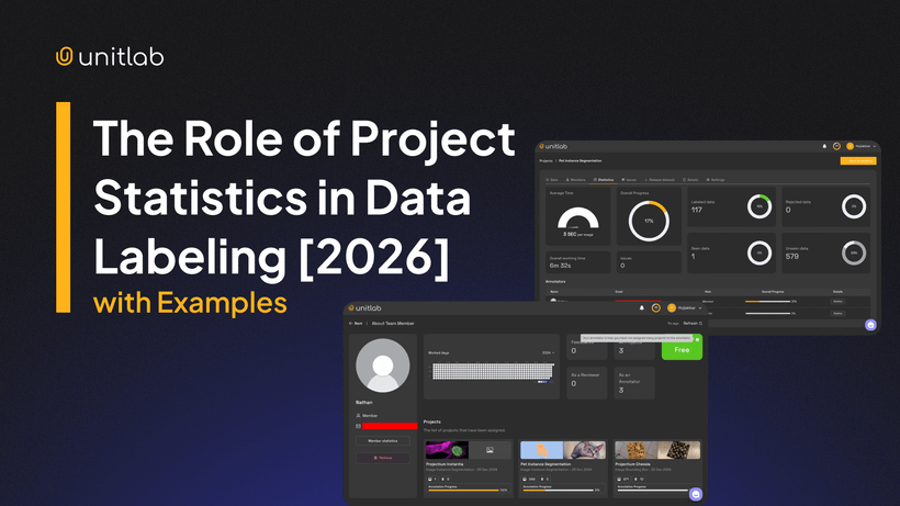 Featured illustration for “The Role of Project Statistics in Data Labeling [2026]”