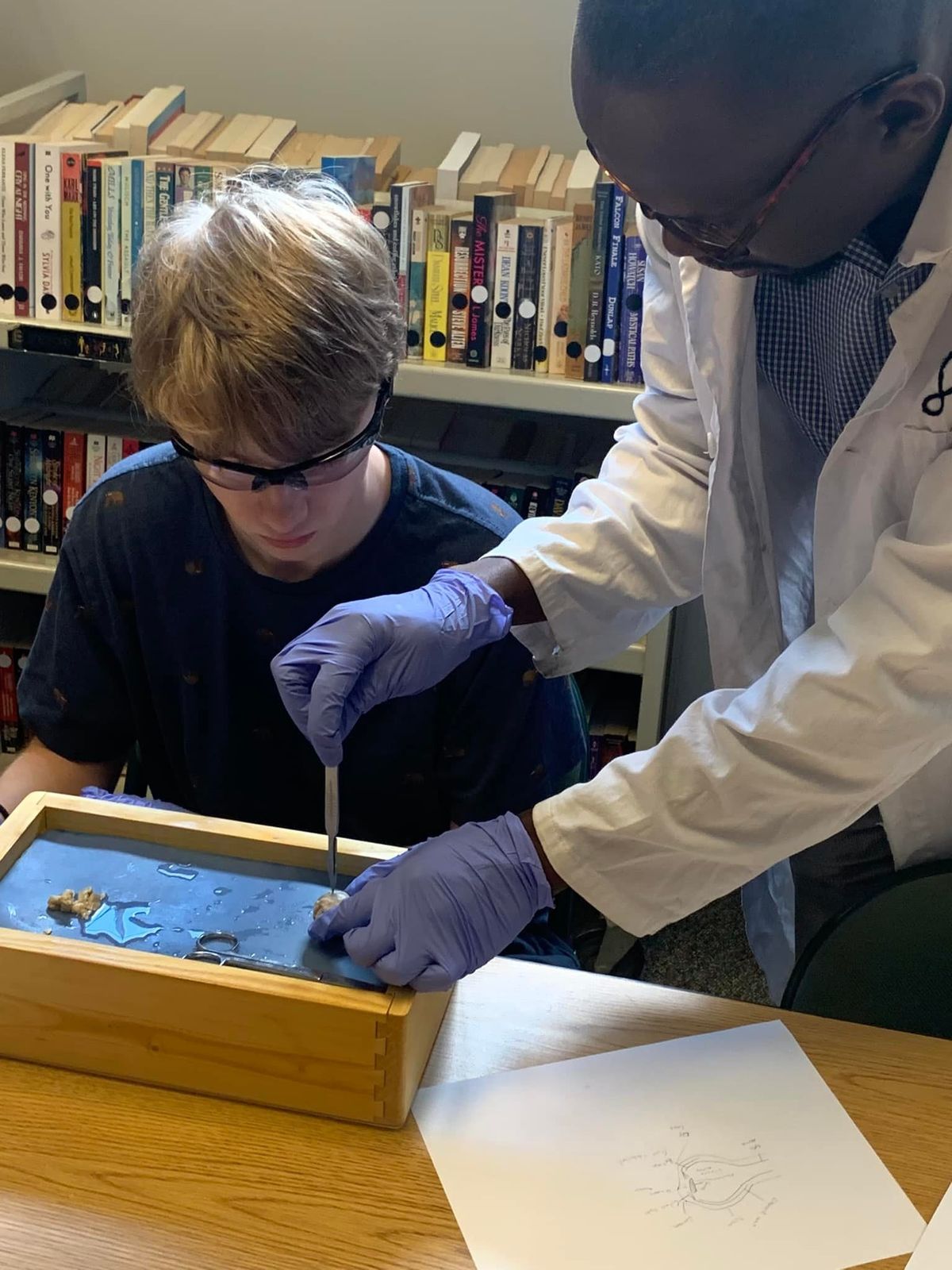 Dissection Mini-Camp