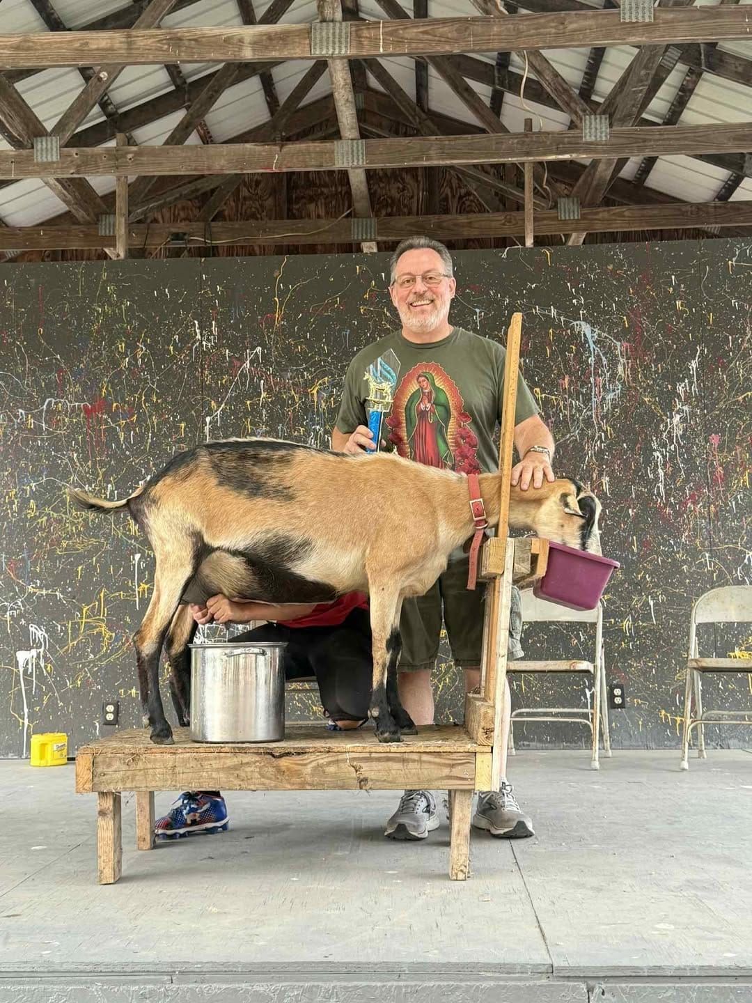 Celebrity Goat Milking Contest