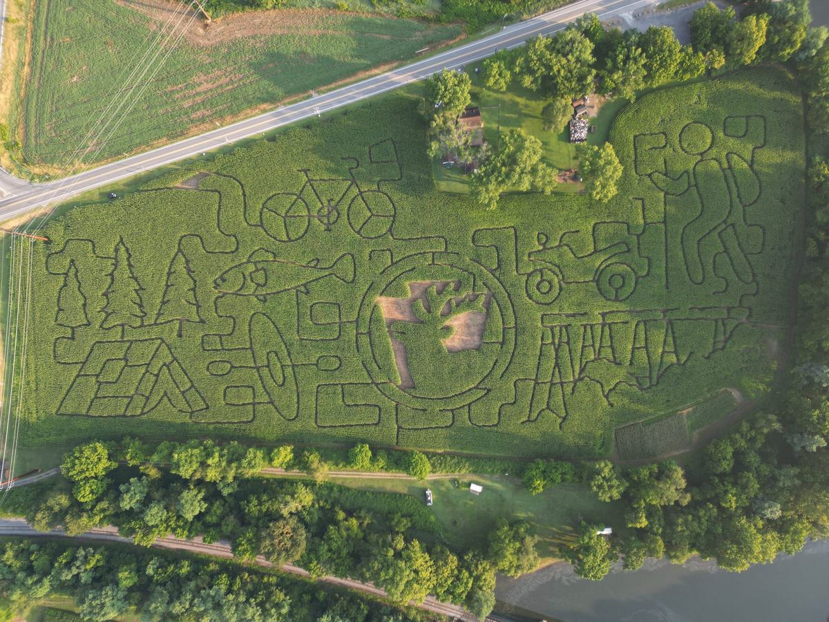 Pine Creek Corn Maze Grows With PA Wilds-Themed Designs