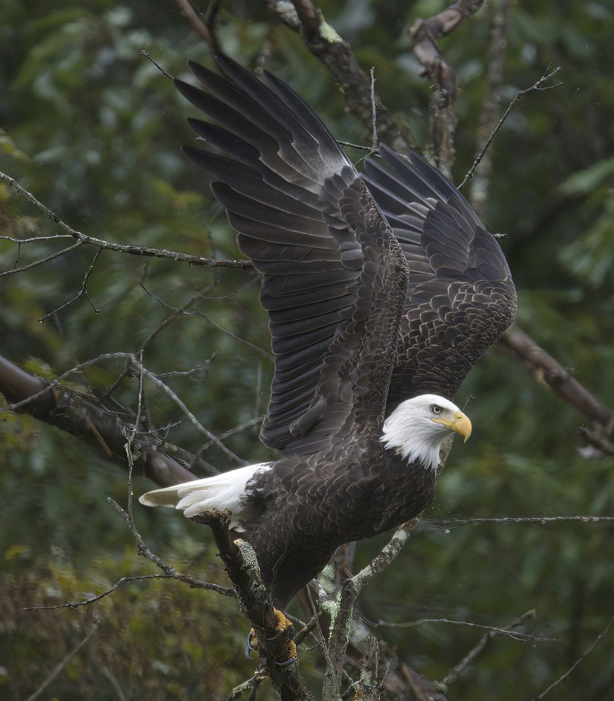 Behind The Lenz - Wildlife & Landscape Photography