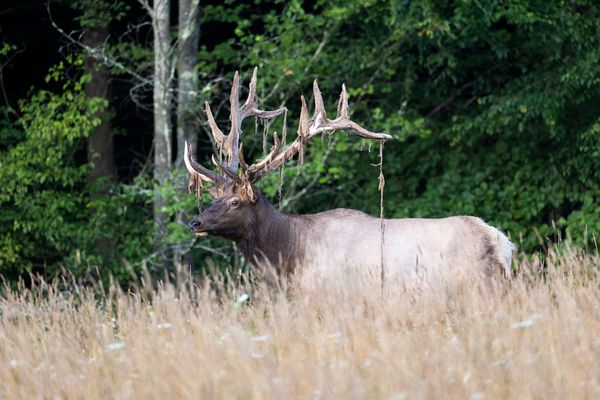 Wandering Aimlessly - Coming Out Time