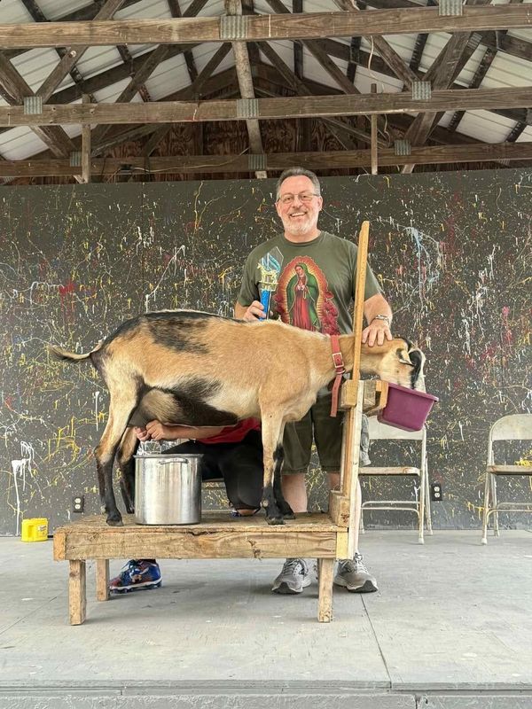 Celebrity Goat Milking Contest