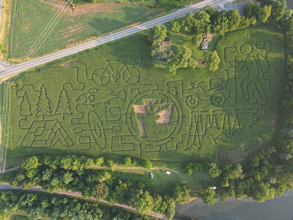 Pine Creek Corn Maze Grows With PA Wilds-Themed Designs