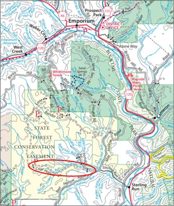 Cole Hollow Lane Reopens