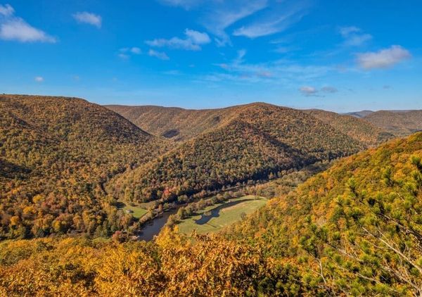 Discover the Hidden Beauty of Sinnemahoning Canyon Vista