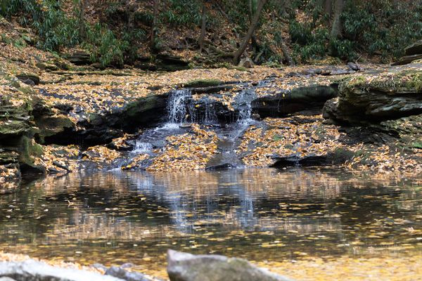 Drought: Summer 2025