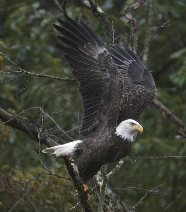 Behind The Lenz - Wildlife & Landscape Photography