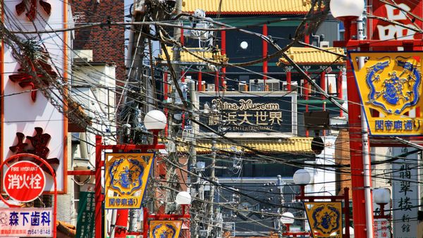 Elephants Out, Donkeys In