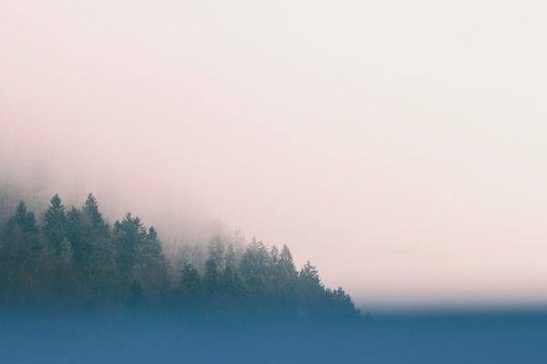 Wanting Otherwise: On Inevitability and Refuge