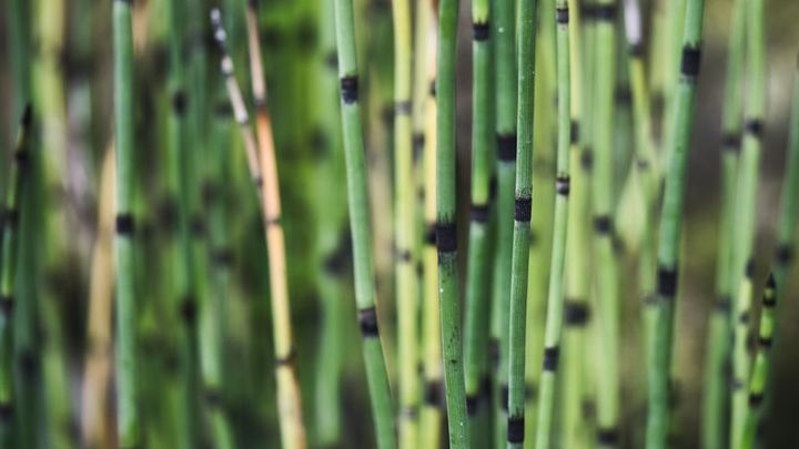 Before/After Sliders in Svelte