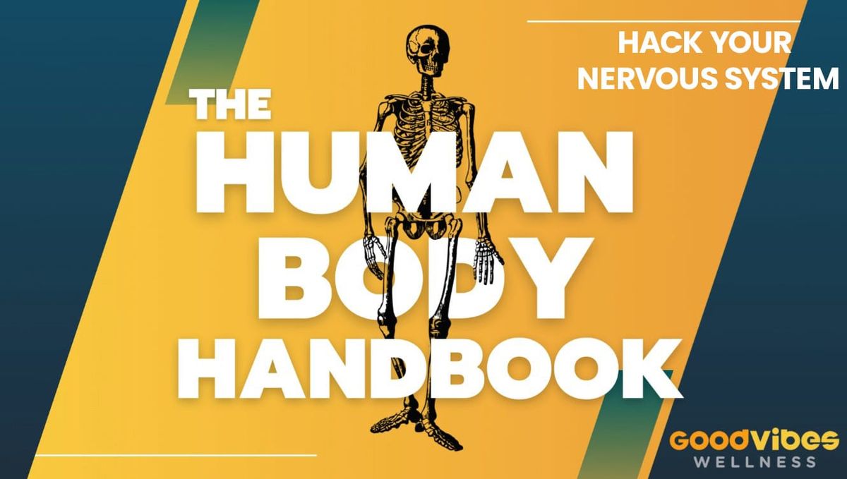 Human Body Handbook Ep. 4