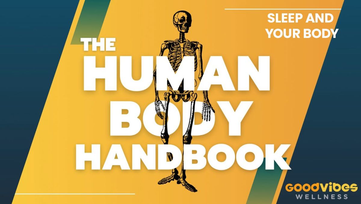 Human Body Handbook Ep. 5