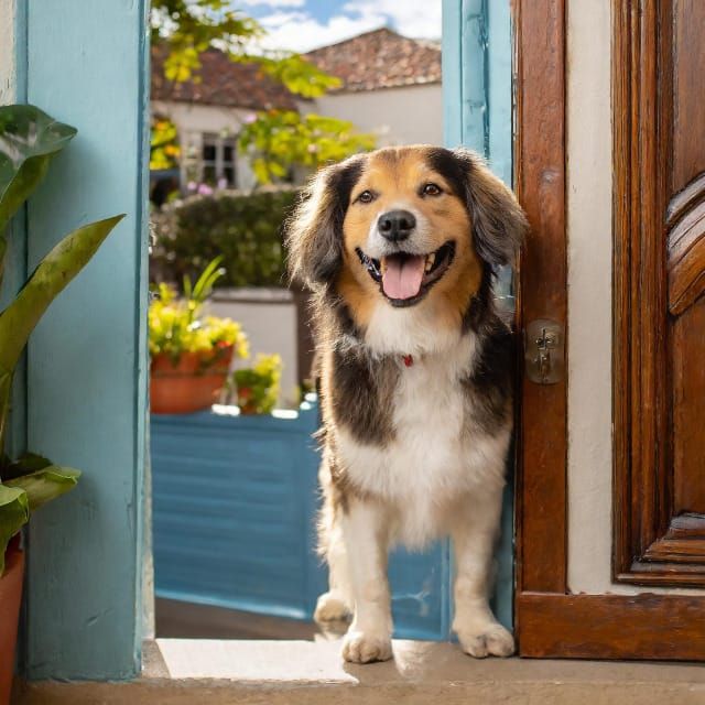 Good Vibes Friday Fun Fact