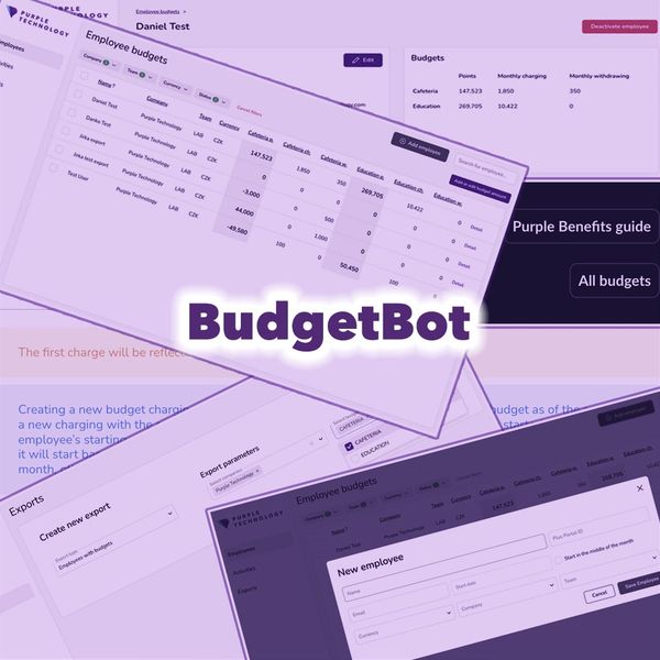 💡 We’ve got a brand-new bot for tracking benefit budgets!