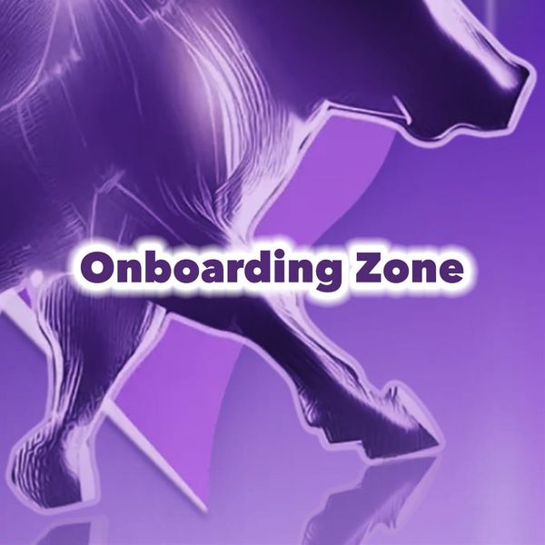 Purple Onboarding Zone