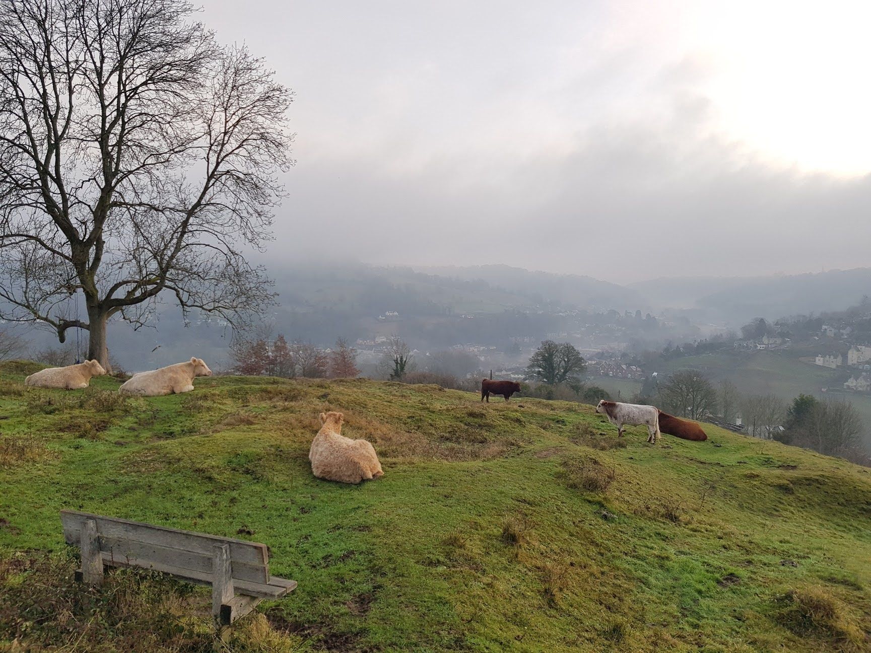 The Bristol - Stroud Loop 2020