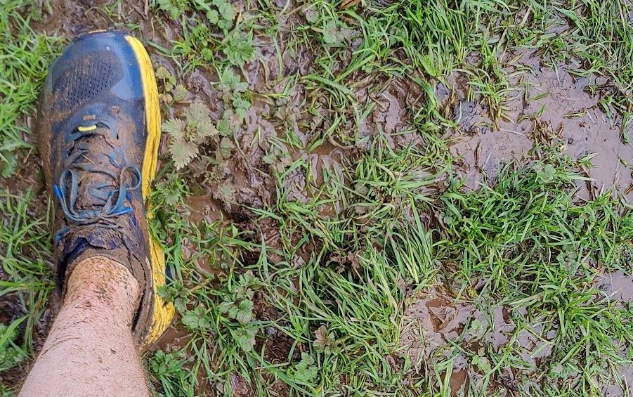 Altra Olympus 5 - 180K Review