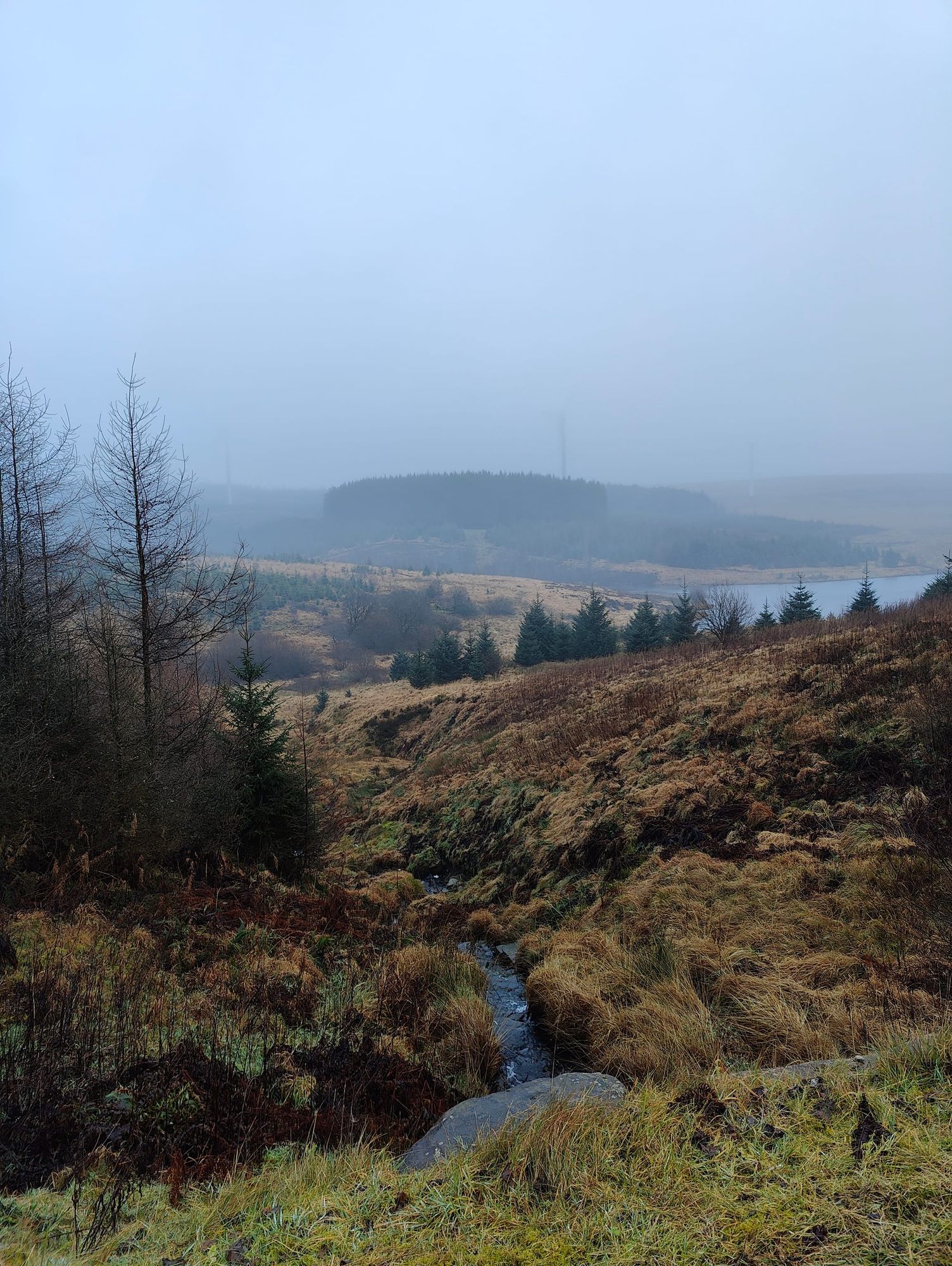 Celtic Trails Ultra Race Report