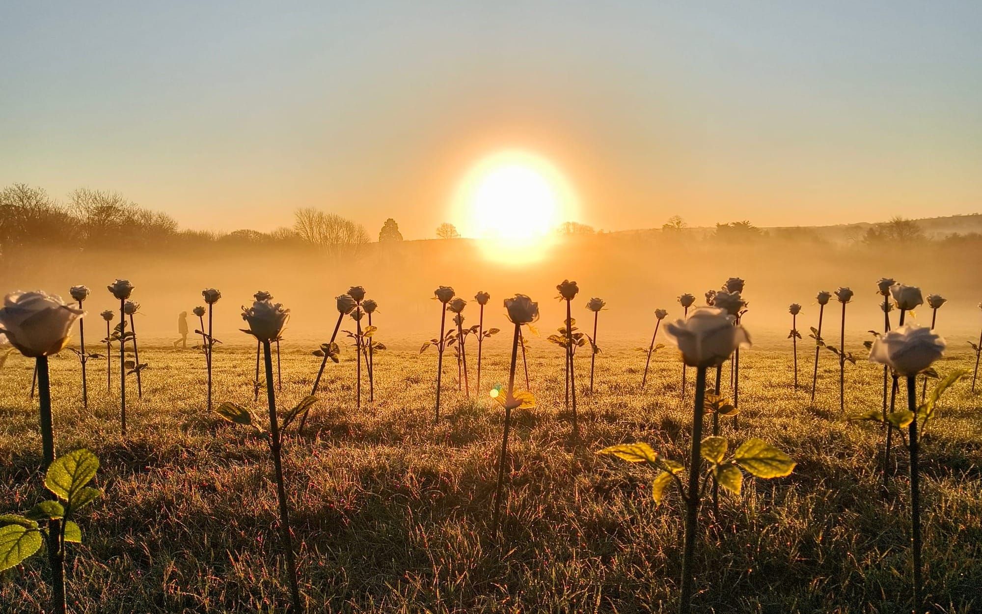 Off Season & The Ona Series