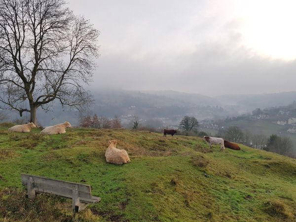 The Bristol - Stroud Loop 2020