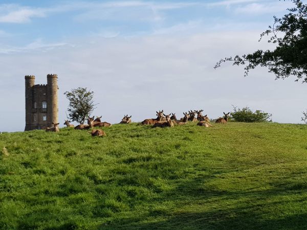 Finished The Cotswold Way!