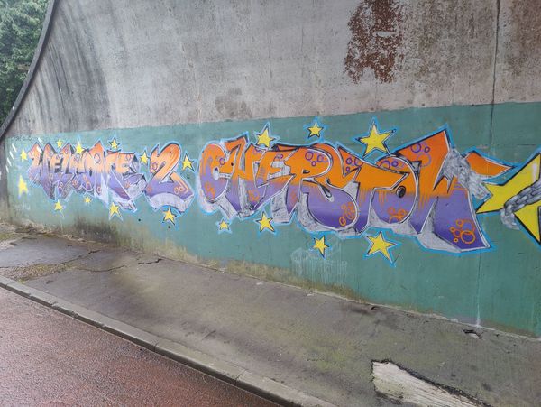 Beechenhurst or Bust - 53km Race Report