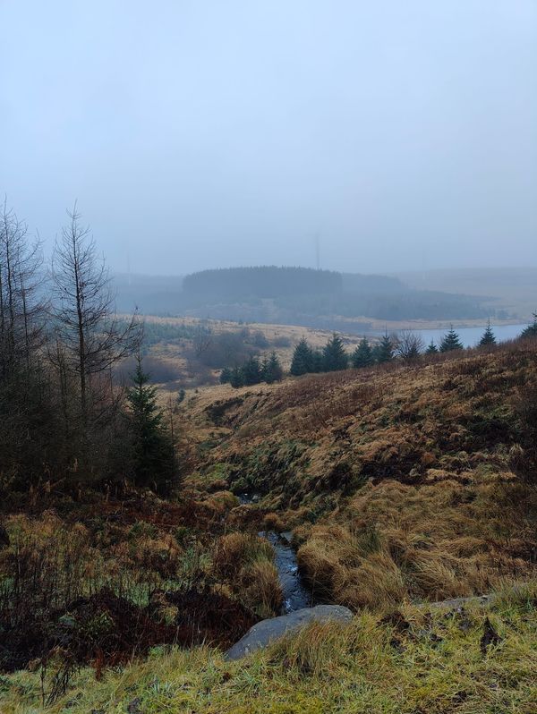 Celtic Trails Ultra Race Report