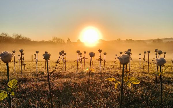 Off Season & The Ona Series