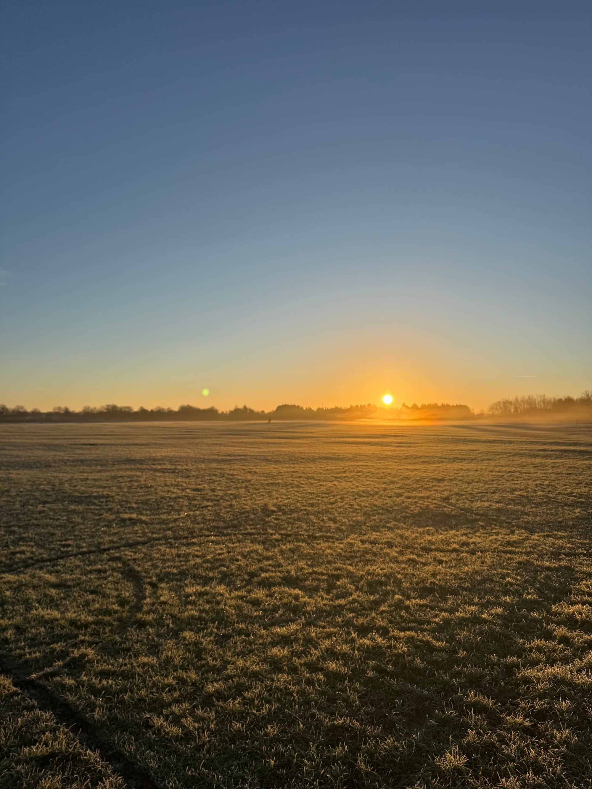 Winter sunrise over a frost-covered field, low sun on the horizon beneath a clear sky
