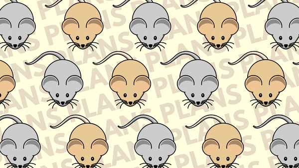 The best-laid plans...