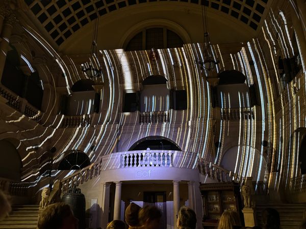 Immersed in Starlight